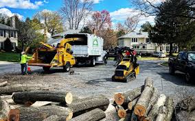 Ho Ho Kus, NJ Tree Removal and Landscaping Services Company